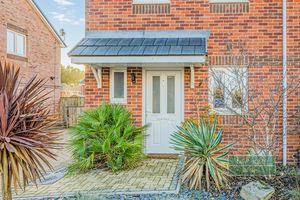 Photo 19- click for photo gallery